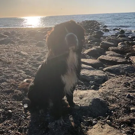 Schaeferkate * Sierksdorf